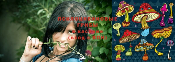 мескалин Новозыбков