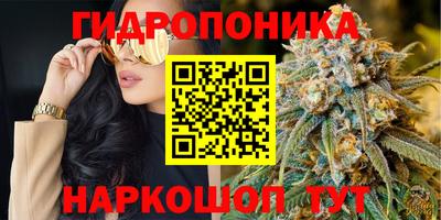 стаф Жуковский