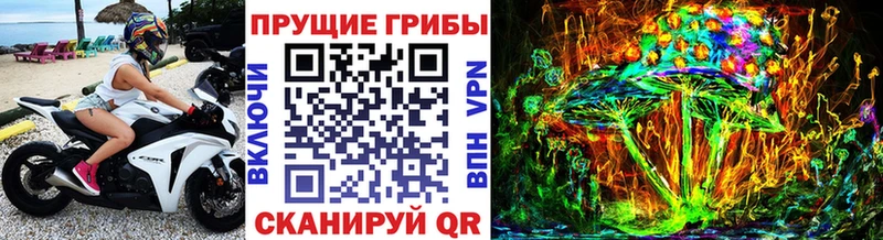 Псилоцибиновые грибы Cubensis  Майский 