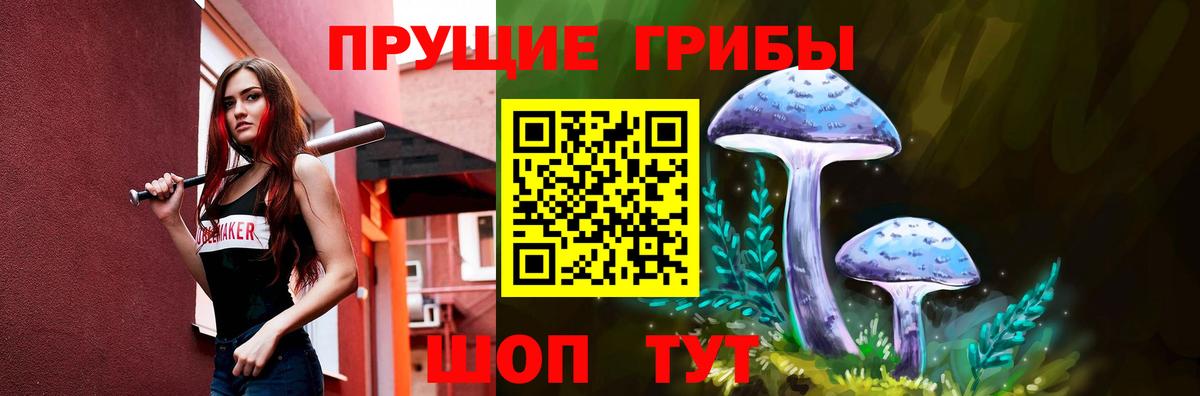 Галлюциногенные грибы Psilocybine cubensis  Вход с VPN  Майский 